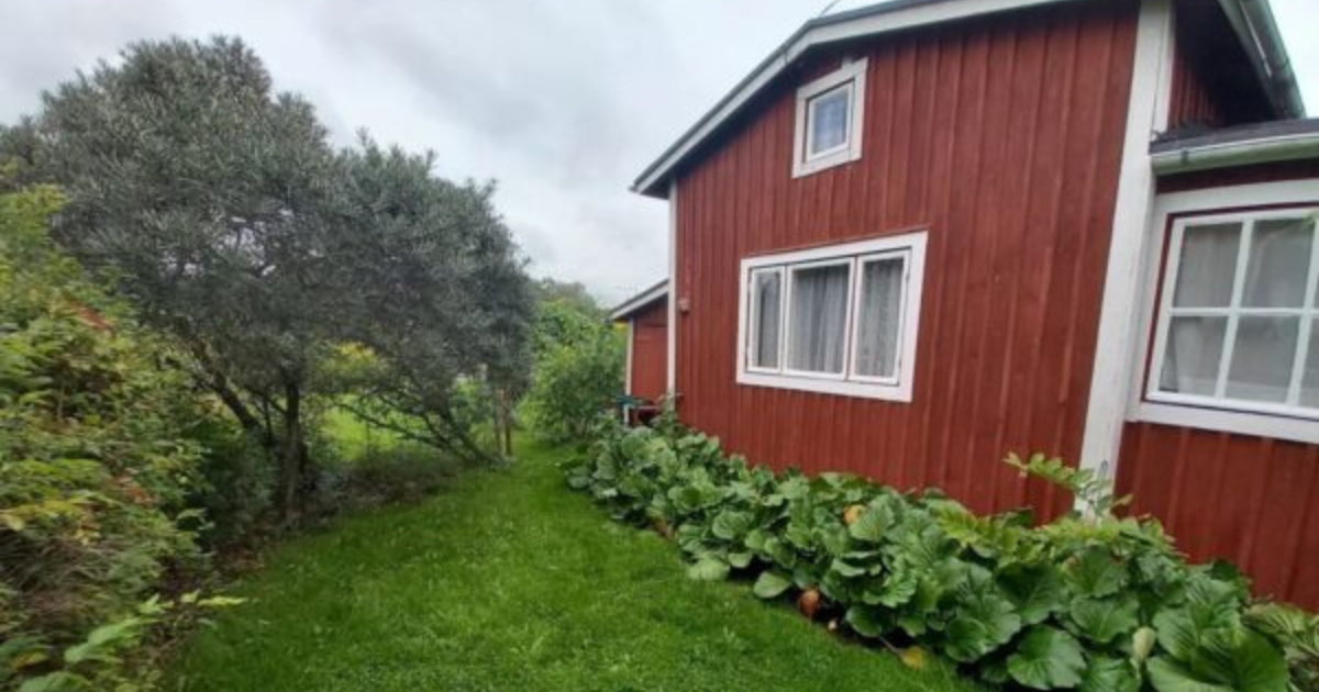 Avaimet ja ensimmäinen visiitti omistajana 2