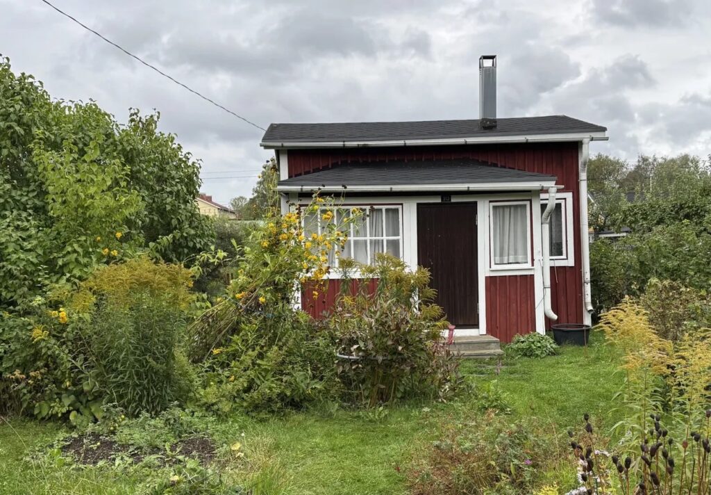 Mökki 313 – lähtötilanne Siirtolapuutarhamökki ja piha ennen kunnostustöitä