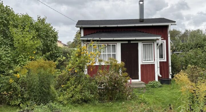 Siirtolapuutarhamökki ja piha ennen kunnostustöitä